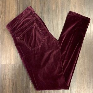 Plum velvet pants